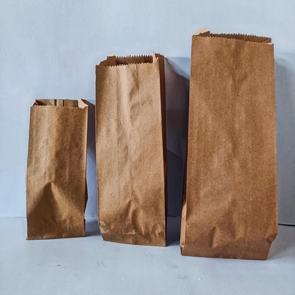 Brown Kraft Paper Grocery Bag - Image 6