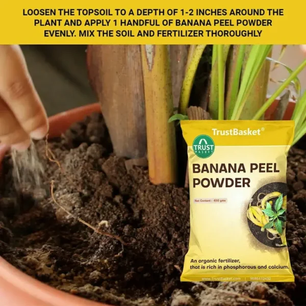 Banana Peel Powder - Image 2