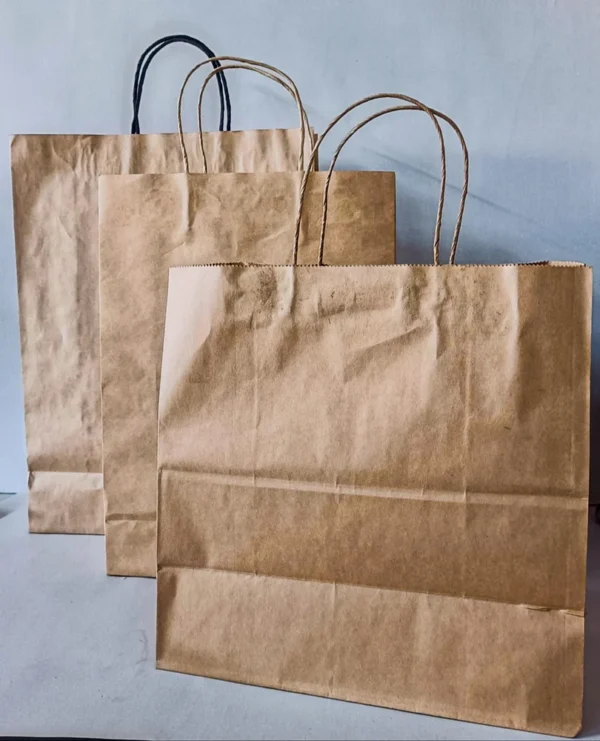 Craft Paper Bag - Image 2