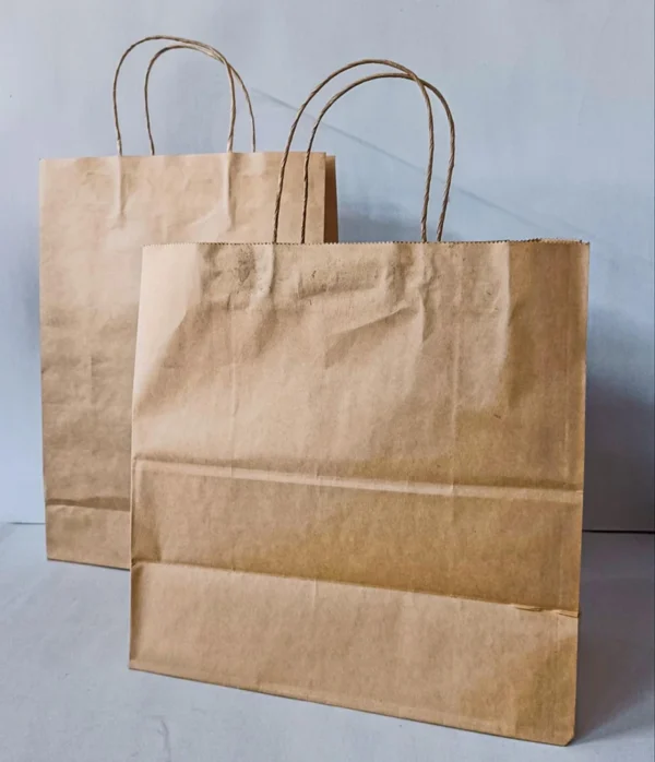 Craft Paper Bag