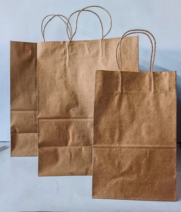 Craft Paper Bag - Image 3