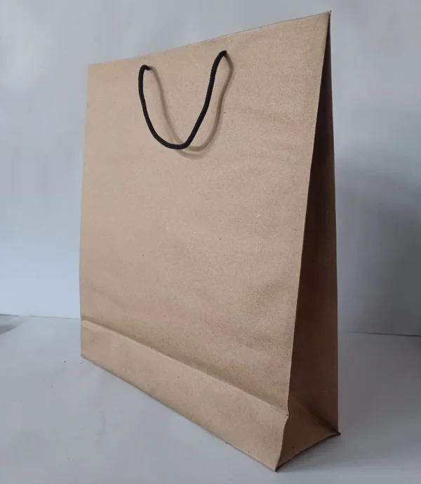 Brown Kraft Paper Carry Bag