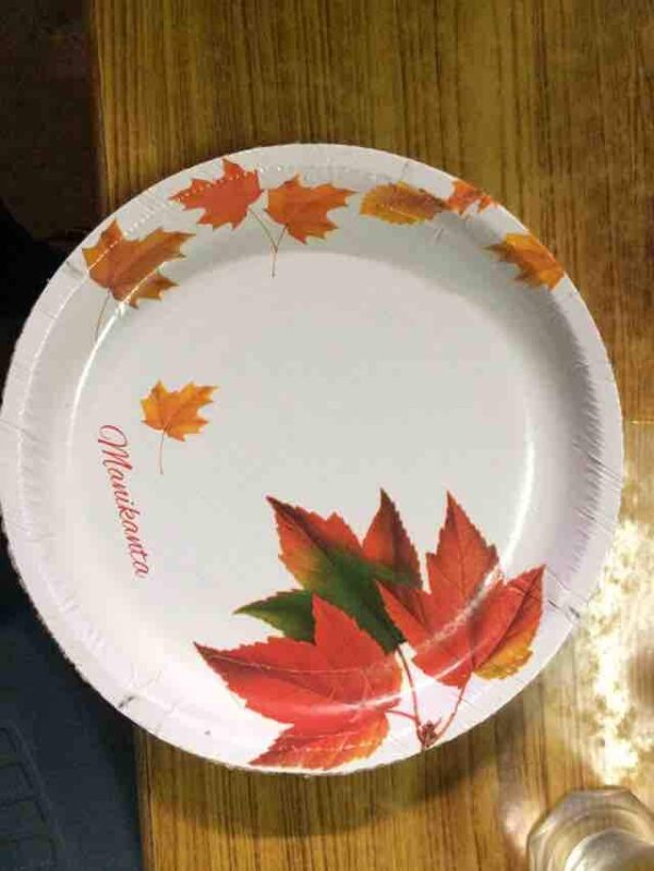 6.5 Inch Square Printed Biodegradable Paper Plate