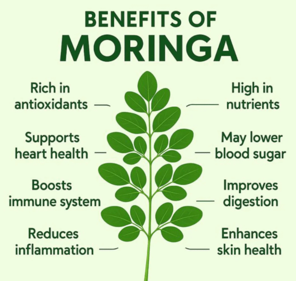 Dehydrated Moringa Powder - Image 3